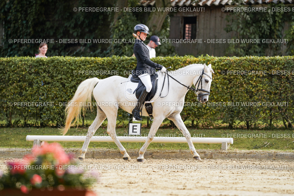 DSC04679 | Pferdegrafie