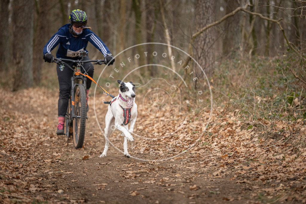 Pfotenfotografie_DV3A0155 | Hundefotografie, Tierfotograf, Pfotenfotografie, Fotoshooting Hund, Hunde Portrait, Hundesport, Hundeportraits, Heideshooting, Hunde, Sportfotograf, Hundefotograf, Turnierhundsport, THS,  - Realisiert mit Pictrs.com