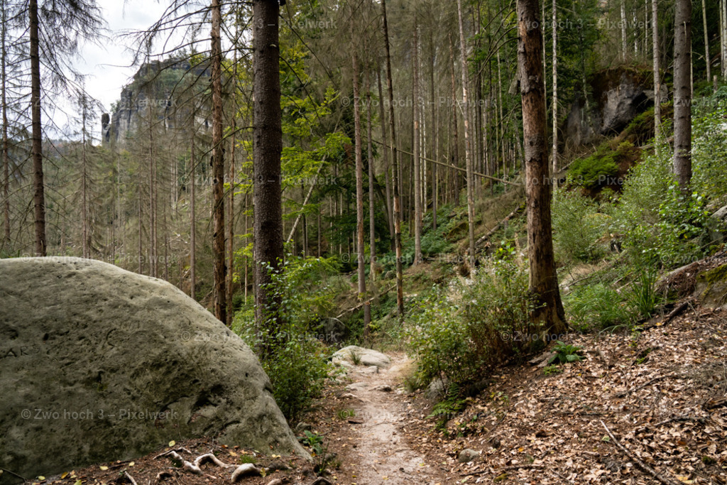 Koenigsweg_Nahe_Wolfsfalle_Frienstein_Felsen_Pfad | 2022-09-02_Waldbrandgebiete_2 - Realisiert mit Pictrs.com