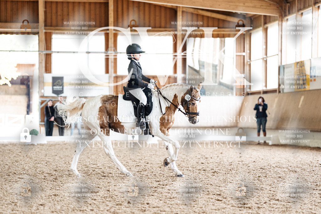 CK900480 | Turnierfotografie Pferdefotografie Trier Rheinland-Pfalz Pferdesport Reitsport Tierfotografie Sportfotografie Pferdevideo Pferdevideografie Equestrianvideography equestrianphotography  - Realisiert mit Pictrs.com