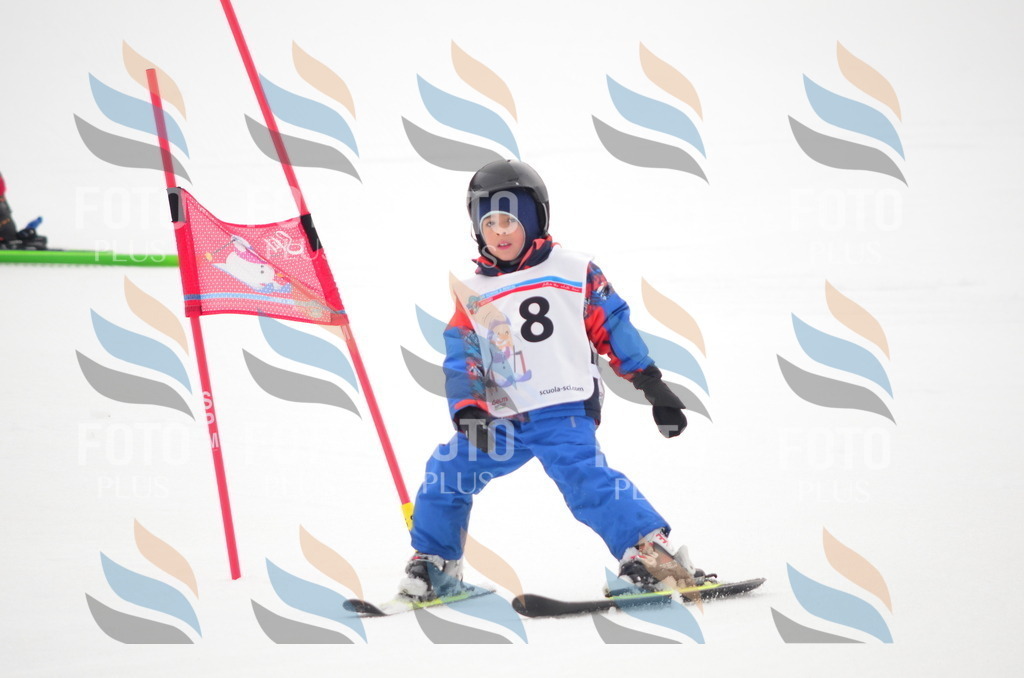 B8959 | holidayphoto