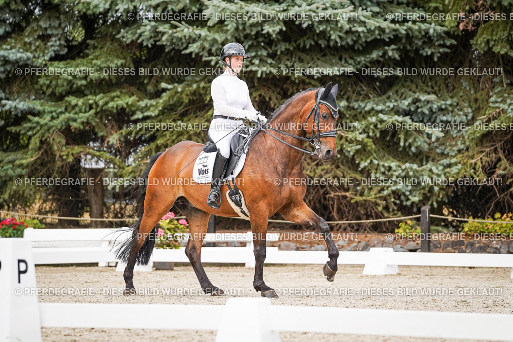 DSC06700 | Pferdegrafie