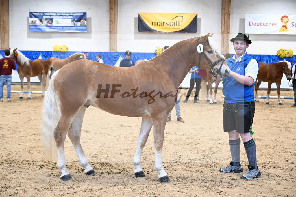 Kat-Nr. 1 Akito v. Ace of Hearts_Oswald_48254170 | hf-fotografie - Realisiert mit Pictrs.com