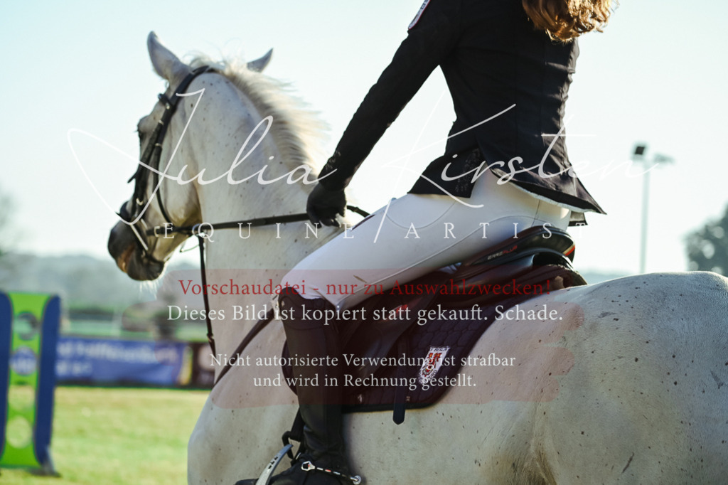 DSC_4030 | Pferde- und Turnierfotografie in Westsachsen. Pferdeportraits, Auftragszeichnungen und intuitive Kunst.