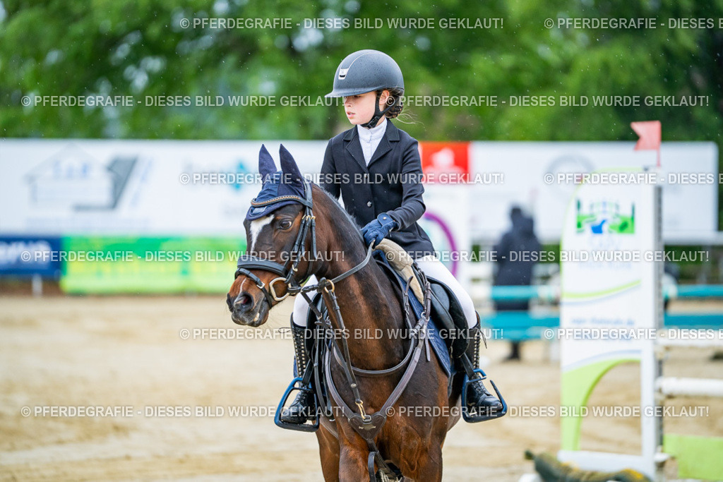 DSC01300 | Pferdegrafie