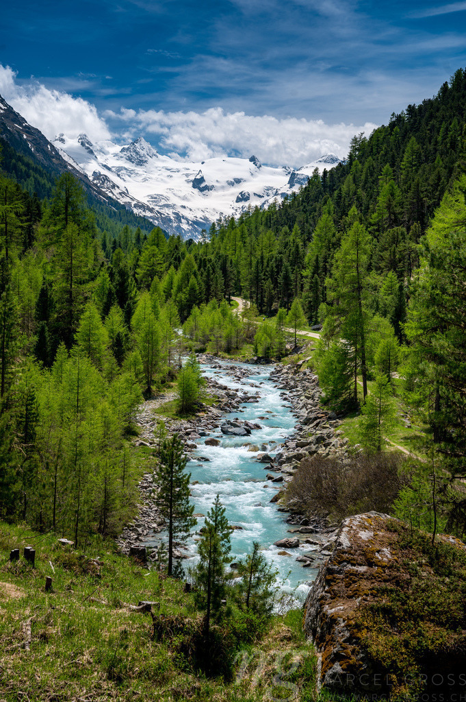 Wildbach im naturbelassenen Val Roseg, Engadin | Die ideale Geschenkidee für Naturliebhaber. Naturbilder von Marcel Gross Photography für ihr Zuhause in den verschiedensten Formaten und Materialien. - Realisiert mit Pictrs.com