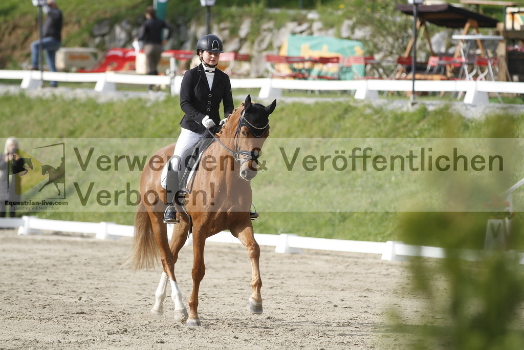 _MG_5889 | equestrian-live-com
