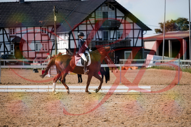 2026_10_03_Siefer-Hof_132902_Z63_90971144 | Professionelle Reitsport-, Turnier- und Eventfotografie von Robert Broda. Galerien mit ausgewählten und bearbeiteten Bildern direkt online ansehen und bestellen.