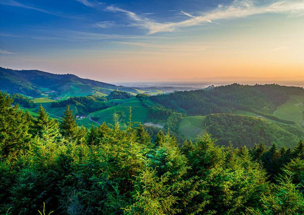 MPI_Renchtal_0012 | Blick ins Hintere Bottenau vom Geigerskopfturm aus - Realisiert mit Pictrs.com