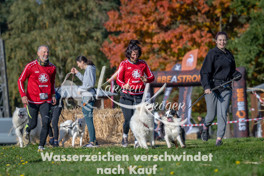 1051_ZZ91760 | kk-dogfotos