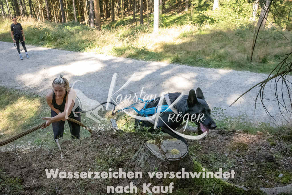 1220_ZZ94023 | kk-dogfotos