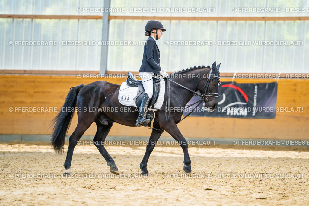 DSC00983 | Pferdegrafie