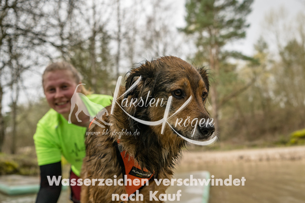 1017_ZZ92917 | kk-dogfotos
