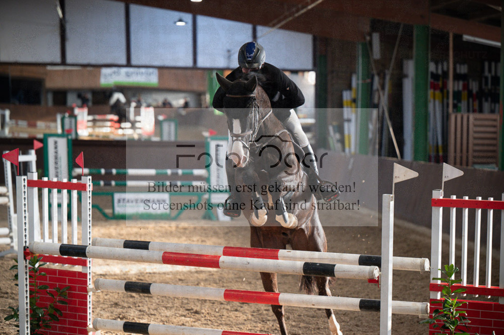 Hallenreittunier Voxtrup 2023 | Entdecke hochwertige Reitturnierfotos von Foto Oger. Professionell, emotional und authentisch – jetzt Lieblingsmomente im Shop bestellen.Deutschlandweite Turnierfotografie. - Realisiert mit Pictrs.com