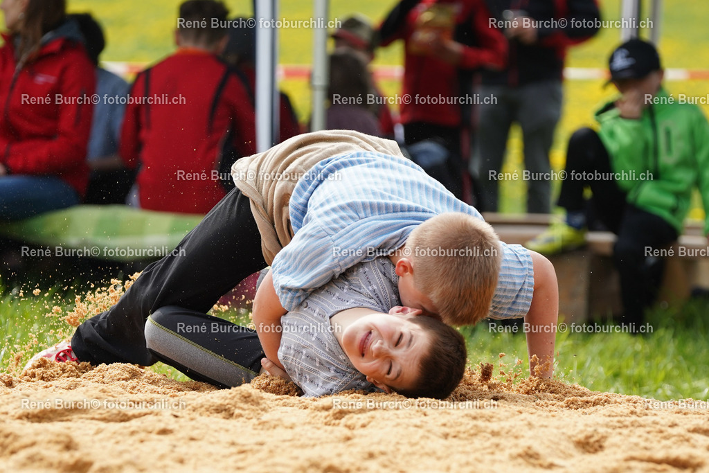 20220423-DSC07969 (2) | René Burch leidenschaftlicher Fotograf aus Kerns in Obwalden.  Hier finden sie Sport, Landschaft und Natur Fotografie.
 - Realisiert mit Pictrs.com