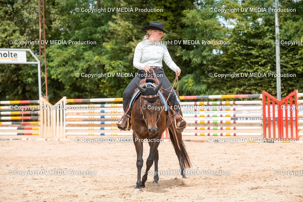 EWP_6097 | dv-media-shop - Realisiert mit Pictrs.com