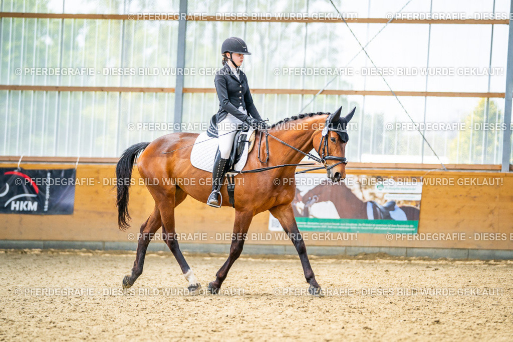 DSC04249 | Pferdegrafie