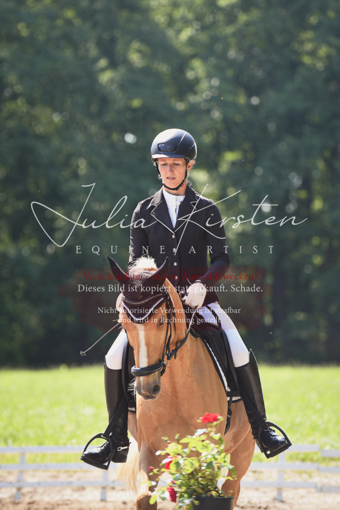 DSC_0591 | Pferde- und Turnierfotografie in Westsachsen. Pferdeportraits, Auftragszeichnungen und intuitive Kunst.
