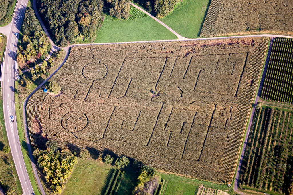 Luftbild: Irrgarten - Labyrinth mit den Umrissen von Smileys auf einem Feld in Göcklingen im Bundesland Rheinland-Pfalz in Deutschland. Foto: IMG_45428.jpg vom 24.09.2011 durch Werner Riehm/FLY-FOTO.de