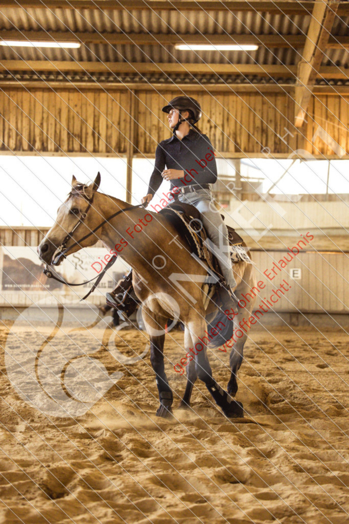 IMG_5109 | Sport-, Event- und Tierfotos in Profiqualität. Einfach auswählen, bestellen und herunterladen. Dein Moment – perfekt festgehalten.
