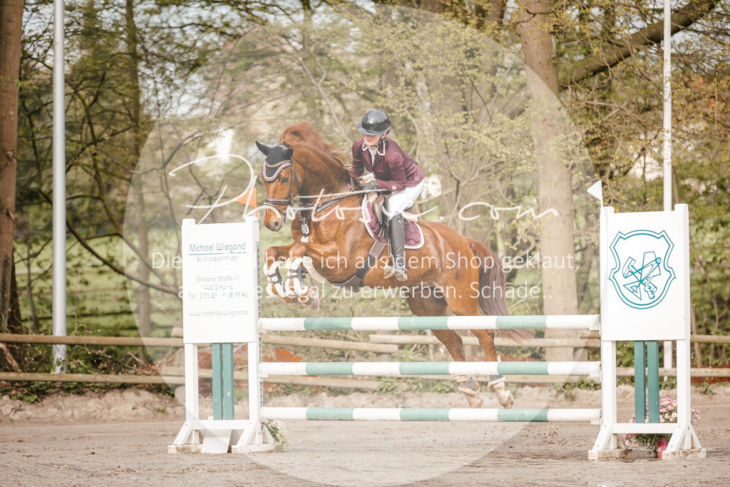 3I6A3207 | Stimmungsvolle Portraits und Reitsportfotografie im Ruhrgebiet und im Münsterland.

Pferdefotografie, Hundefotografie, Tierfotografie, Reportagen, Portraits von Tier und Mensch, Turnierfotografie in Bochum, Recklinghausen, Marl, Haltern am See, Dülmen.. - Realisiert mit Pictrs.com