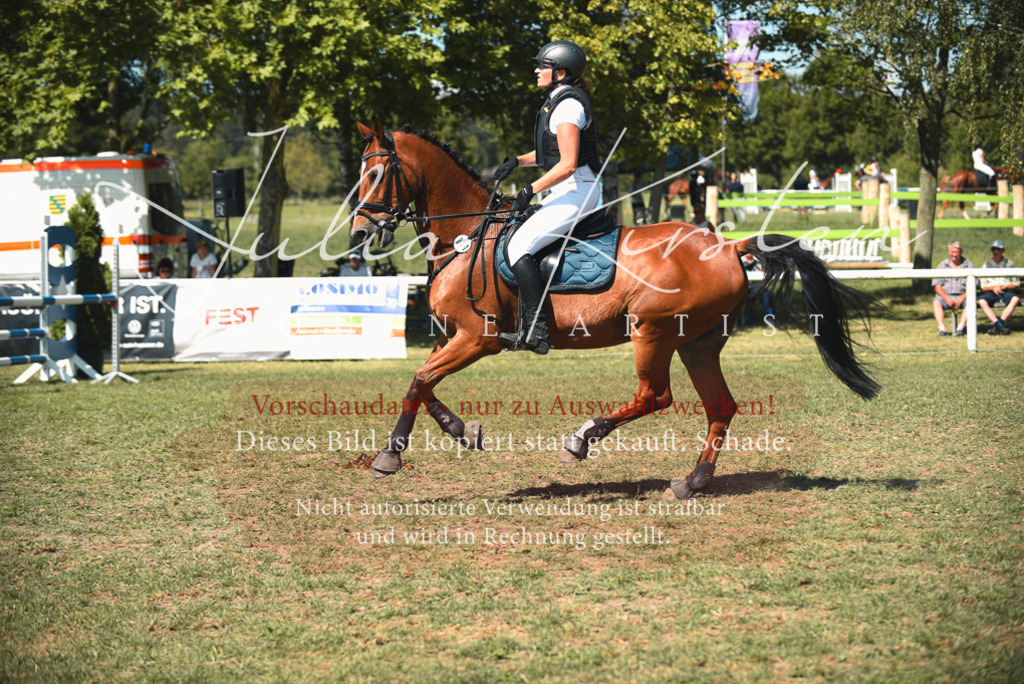 DSC_6940 | Pferde- und Turnierfotografie in Westsachsen. Pferdeportraits, Auftragszeichnungen und intuitive Kunst.