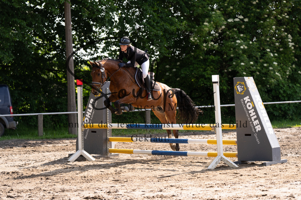 A7507370 | Turnier/Reitfotograf