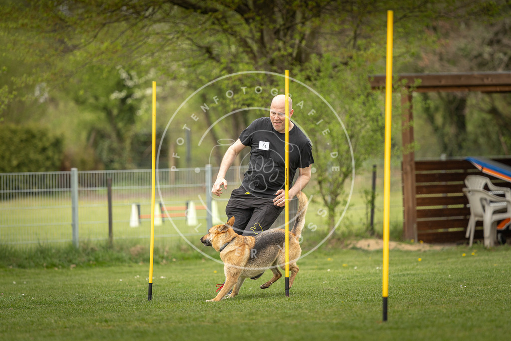 Pfotenfotografie_DV3A2178 | Hundefotografie, Tierfotograf, Pfotenfotografie, Fotoshooting Hund, Hunde Portrait, Hundesport, Hundeportraits, Heideshooting, Hunde, Sportfotograf, Hundefotograf, Turnierhundsport, THS,  - Realisiert mit Pictrs.com