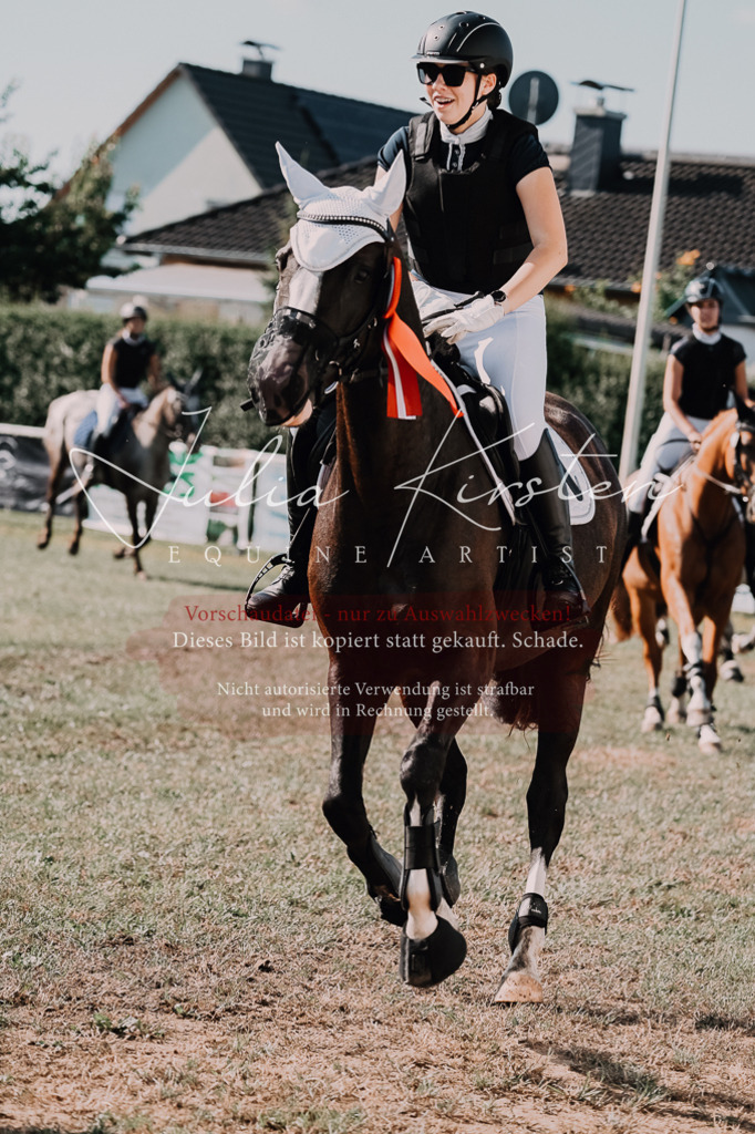 DSC_4949 | Pferde- und Turnierfotografie in Westsachsen. Pferdeportraits, Auftragszeichnungen und intuitive Kunst.