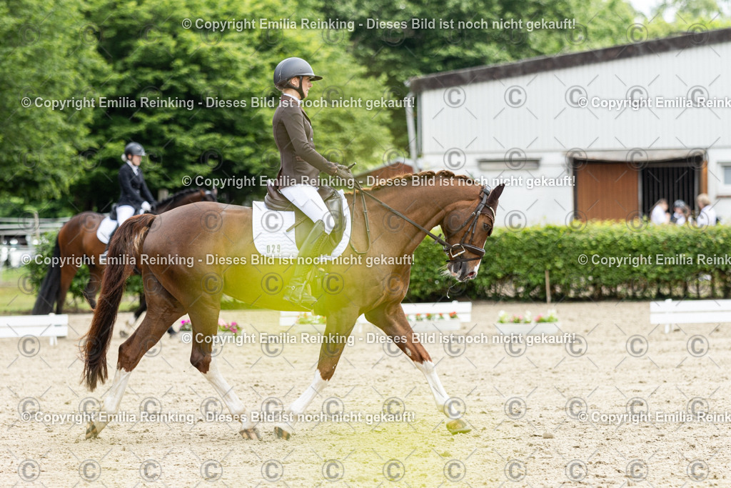 CL5A0601 | Emilia Reinking Fotografie - Realisiert mit Pictrs.com