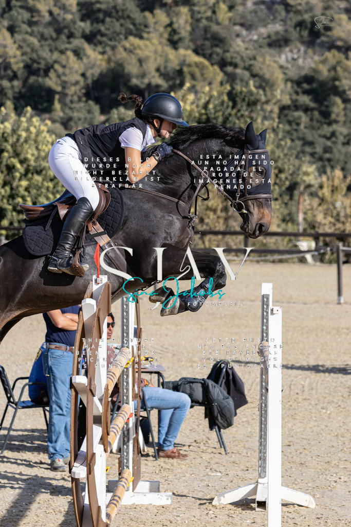 IMG_0120 | s-jay-photography - Realisiert mit Pictrs.com