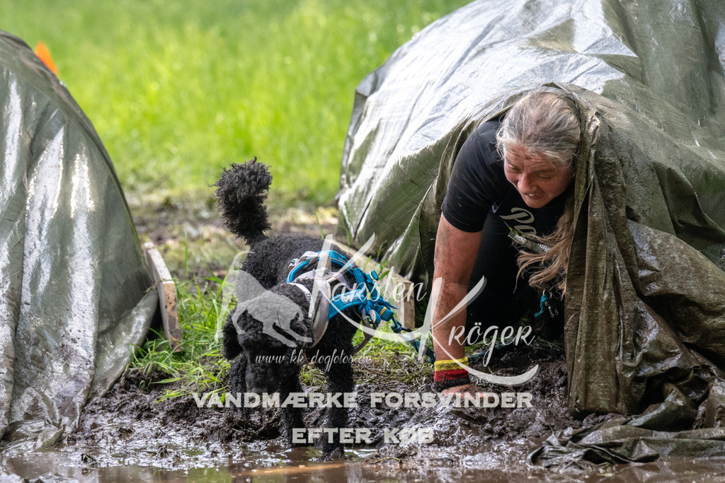 1222_ZZ91978 | kk-dogfotos