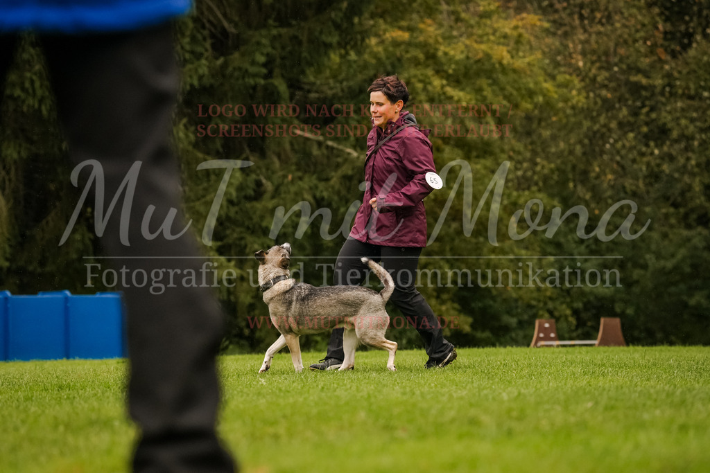 20251005_THS_Turnier-562 | MuT (Mensch und Tier) mit Mona - Fotografie und Tierkommunikation - Realisiert mit Pictrs.com