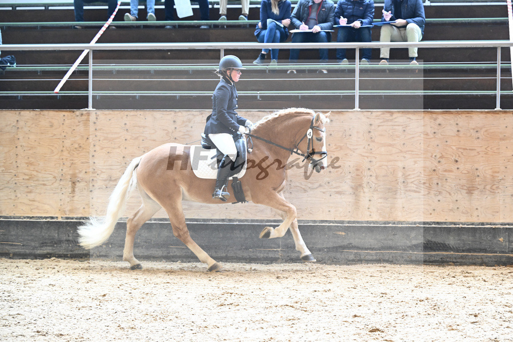 Kat-Nr. 4 Eichhofs Antares_Heule_44240343 | hf-fotografie - Realisiert mit Pictrs.com