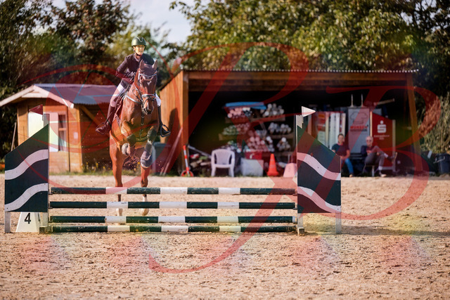 2026_10_03_Siefer-Hof_155604_Z81_75291595 | Professionelle Reitsport-, Turnier- und Eventfotografie von Robert Broda. Galerien mit ausgewählten und bearbeiteten Bildern direkt online ansehen und bestellen.
