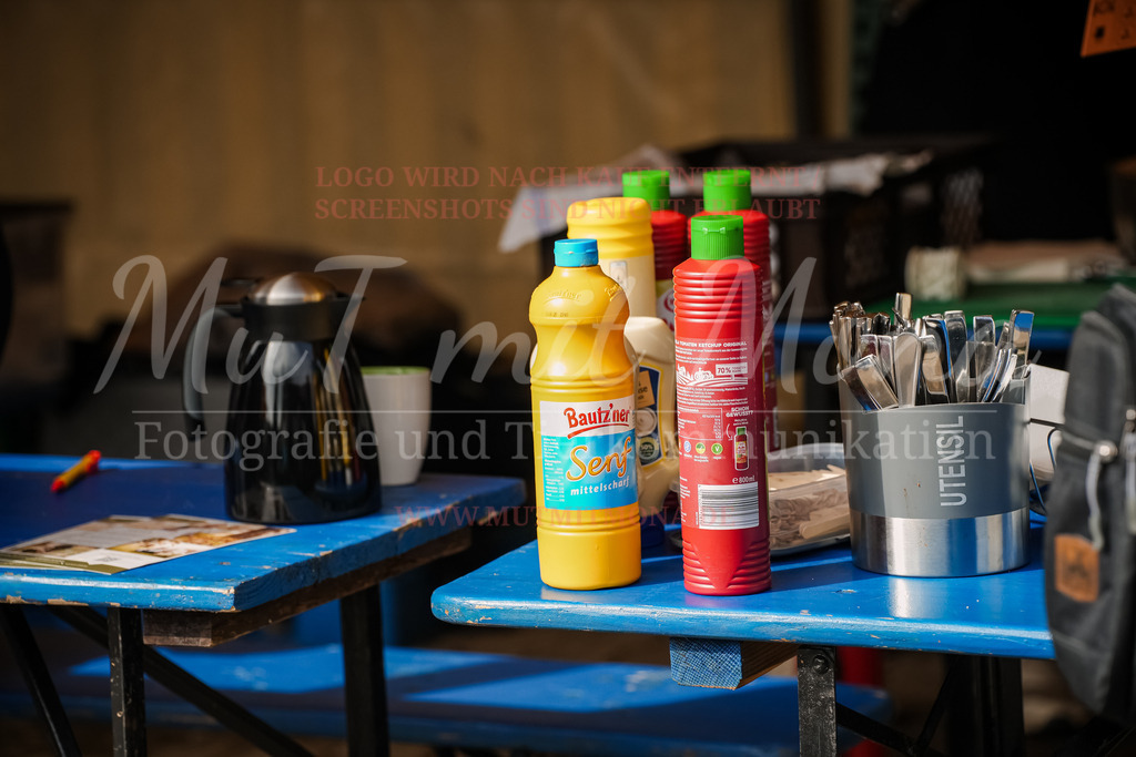 20250928_Hunderennen-343 | MuT (Mensch und Tier) mit Mona - Fotografie und Tierkommunikation - Realisiert mit Pictrs.com