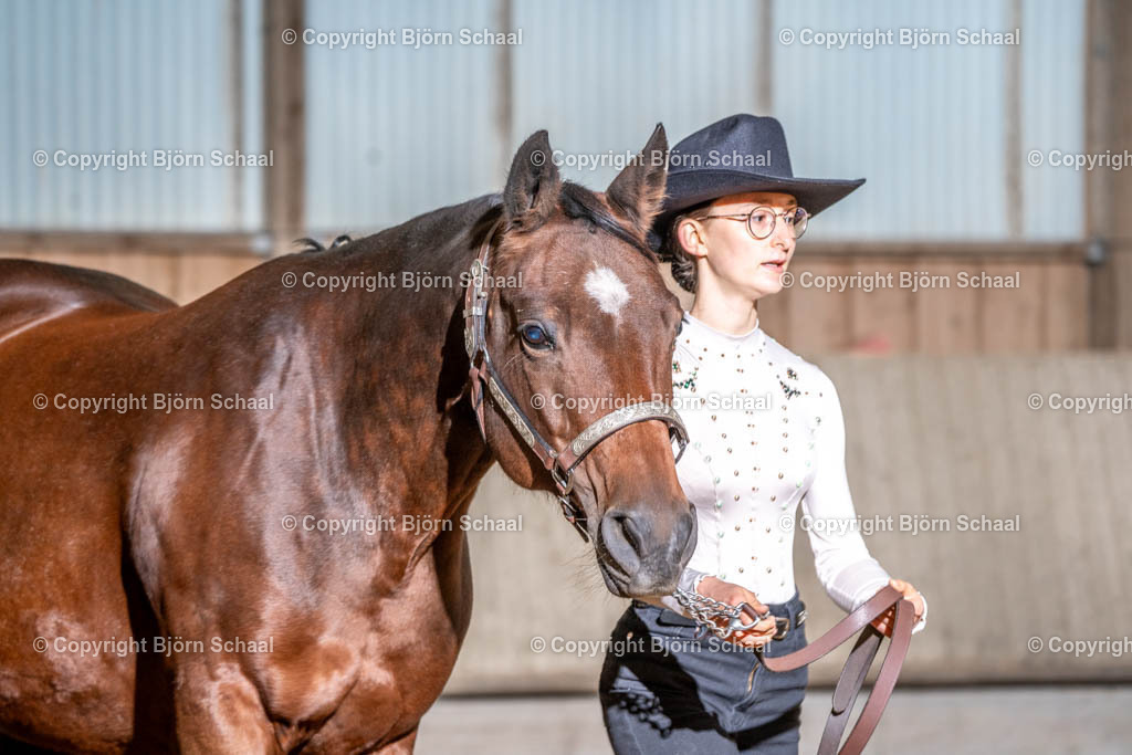 SAL00879 | BS-foto