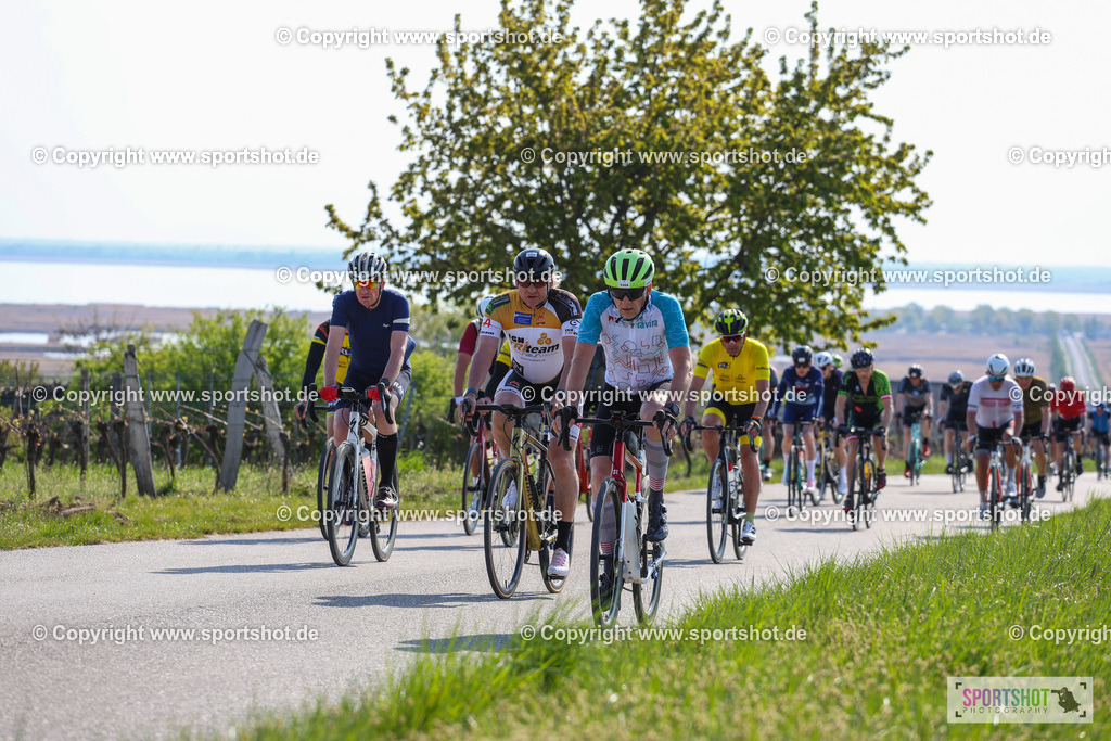 IMG_1799 | @sportshot_your_pictrs #yourpictures#roadtowm2029 #nrm #neusiedlerseeradmarathon #neusiedlersee #neusiedlerseetourismus #burgenland #mörbisch #nrm26 #burgenlandtourismus #voglundco #poweredbyburgenlandtourismus #radsport #rad #marathon #ucigranfondo #visitburgenland #ucigranfondoworldseries