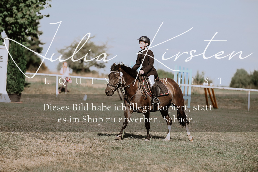 DSC_9475 | Pferde- und Turnierfotografie in Westsachsen. Pferdeportraits, Auftragszeichnungen und intuitive Kunst.
