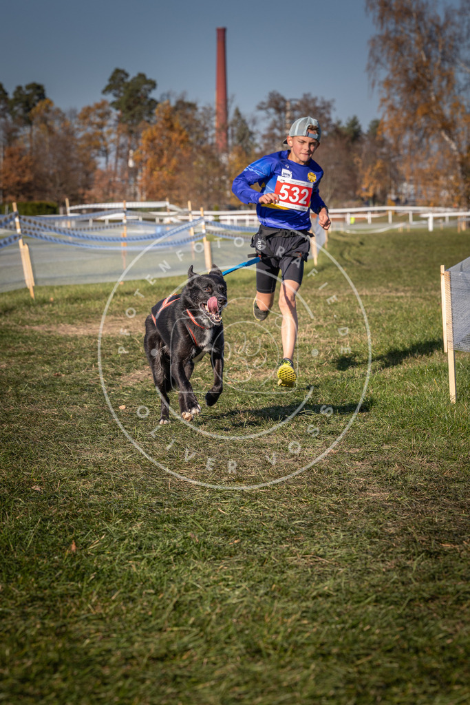 CaniXpix_0L8A7355 | Hundefotografie, Tierfotograf, Pfotenfotografie, Fotoshooting Hund, Hunde Portrait, Hundesport, Hundeportraits, Heideshooting, Hunde, Sportfotograf, Hundefotograf, Turnierhundsport, THS,  - Realisiert mit Pictrs.com