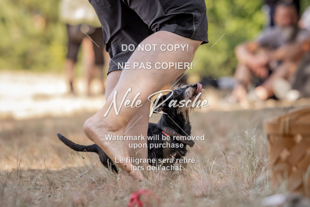 nelerasche_soDD2_09 | nelerasche