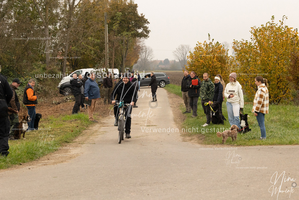 _16A0732 | Einzigartige Fotos von Hunden & Menschen –Actionfotos, Portraits, Vereinsaufnahmen & Paarshootings – authentisch, lebendig & mit Herz.