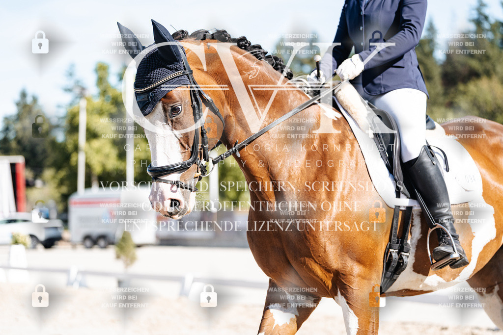 CK908165 | Turnierfotografie Pferdefotografie Trier Rheinland-Pfalz Pferdesport Reitsport Tierfotografie Sportfotografie Pferdevideo Pferdevideografie Equestrianvideography equestrianphotography  - Realisiert mit Pictrs.com