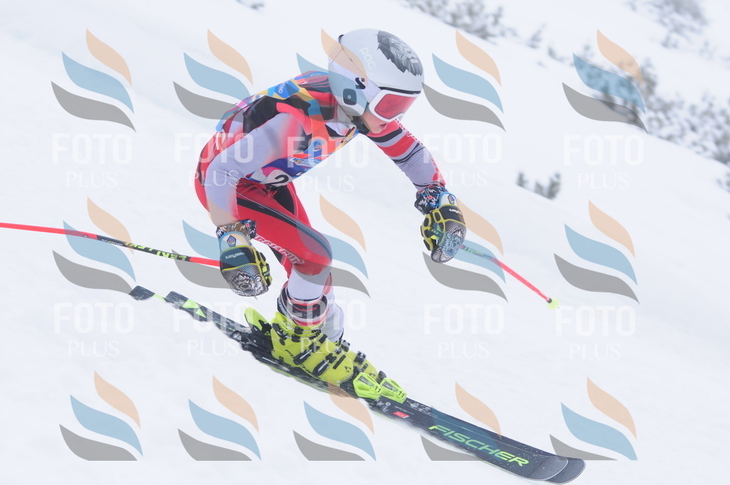 C2432 | holidayphoto