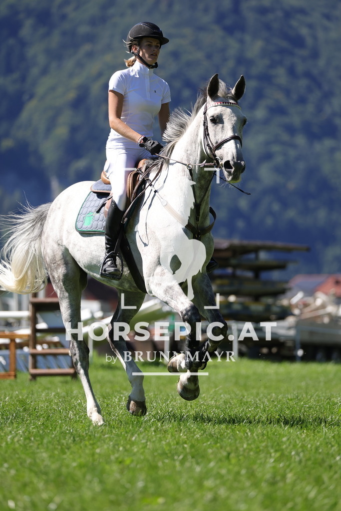 0P6A6879 | Willkommen bei Brunnmayr - Design & Fotografie – Ihrem Spezialisten für Reitturniere und Pferdeveranstaltungen in Oberösterreich, Salzburg und Bayern! Seit über 17 Jahren sind wir leidenschaftlich dabei.