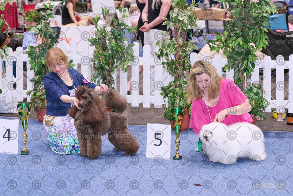 202406_ÖKV-IHA-Tulln24_NZ9_8734 | proPHOTO - Realisiert mit Pictrs.com