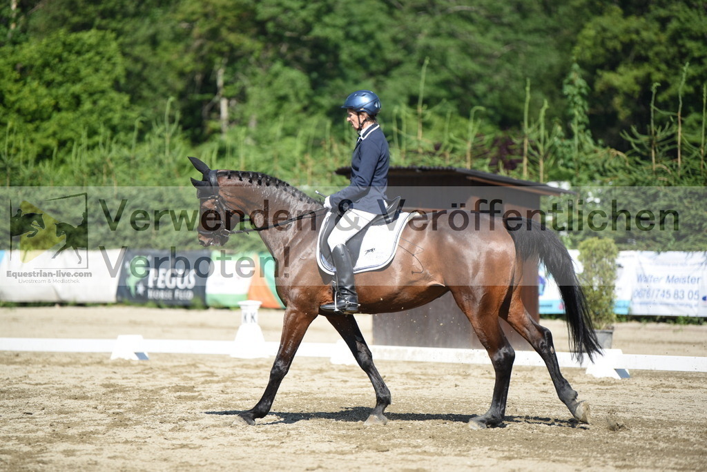 DSC_7452 | equestrian-live-com