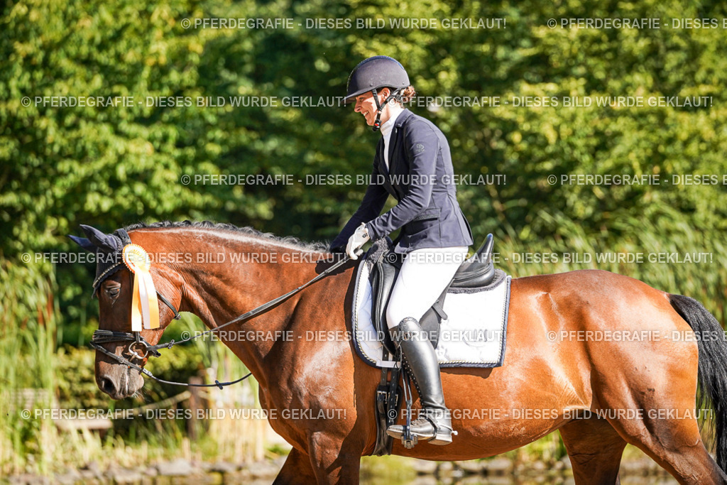 DSC00272 | Pferdegrafie