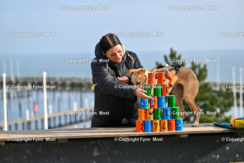 DSC_5298 | Hallo und herzlich Willkommen auf meiner Shop-Seite Fynn Most.

Ich wünsche Dir viel Spaß beim stöbern durch die Bilder, wenn Du Fragen hast oder Bilder vermisst, kannst du mir gerne eine Nachricht schreiben. - Realisiert mit Pictrs.com