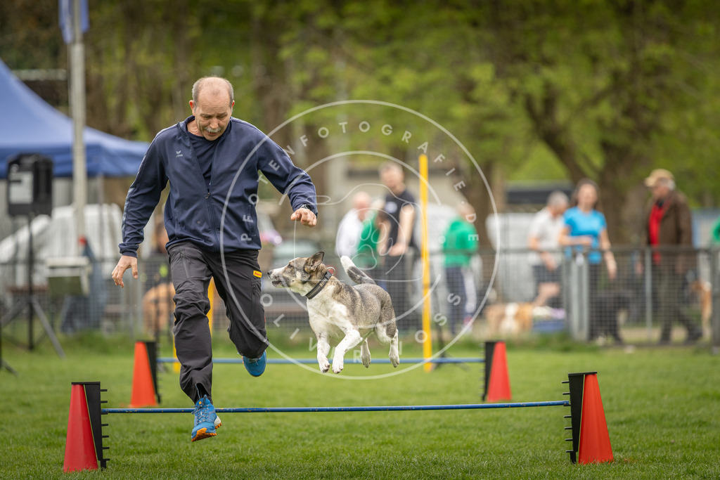 Pfotenfotografie_DV3A2395 | Hundefotografie, Tierfotograf, Pfotenfotografie, Fotoshooting Hund, Hunde Portrait, Hundesport, Hundeportraits, Heideshooting, Hunde, Sportfotograf, Hundefotograf, Turnierhundsport, THS,  - Realisiert mit Pictrs.com
